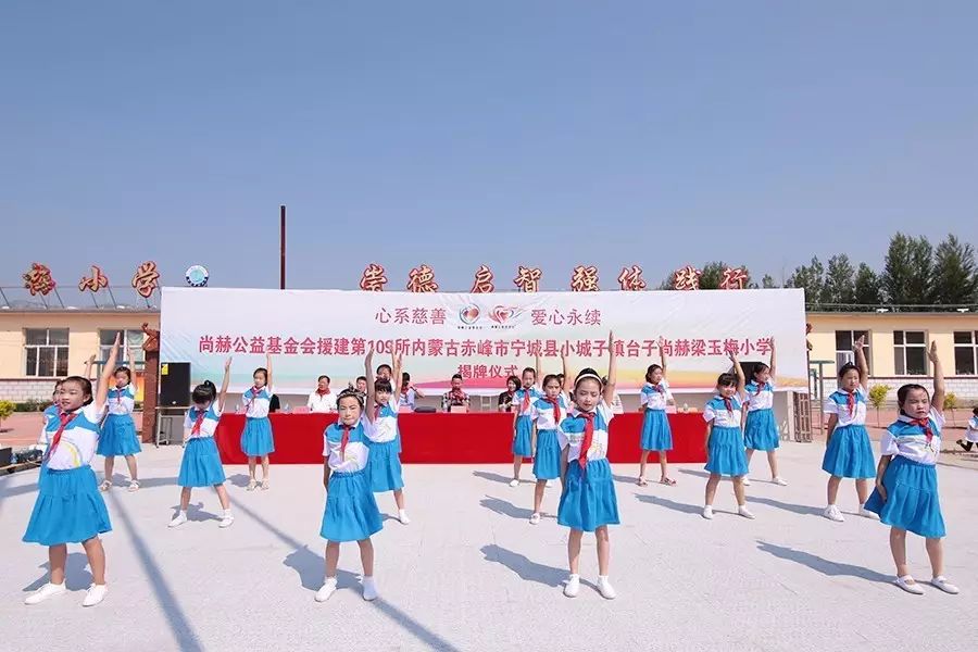 第109所 赤峰市宁城县小城子镇台子尚赫梁玉梅小学 第109所 赤峰市宁城县小城子镇台子尚赫梁玉梅小学